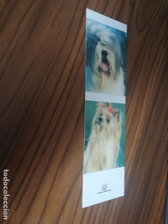 Coleccionismo Marcap&aacute;ginas: MARCAPAGINAS. LITERATURA. PLANETA DEAGOSTINI. PERROS.. DOBLE CARA. BUEN ESTADO. DIFICIL