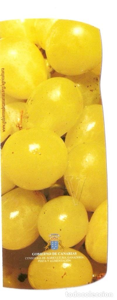 Coleccionismo marcap&aacute;ginas: MARCAPAGINAS VINOS DE CANARIAS - Foto 2