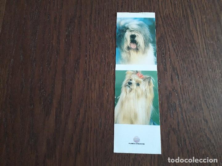 Coleccionismo marcap&aacute;ginas: marcap&aacute;ginas, punto de libro, perros, planeta De Agostini. - Foto 1
