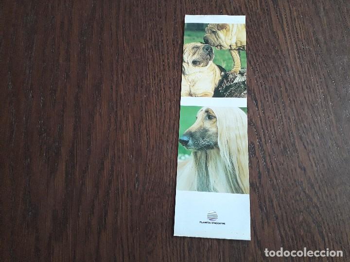 Coleccionismo marcap&aacute;ginas: marcap&aacute;ginas, punto de libro, perros, planeta De Agostini. - Foto 2