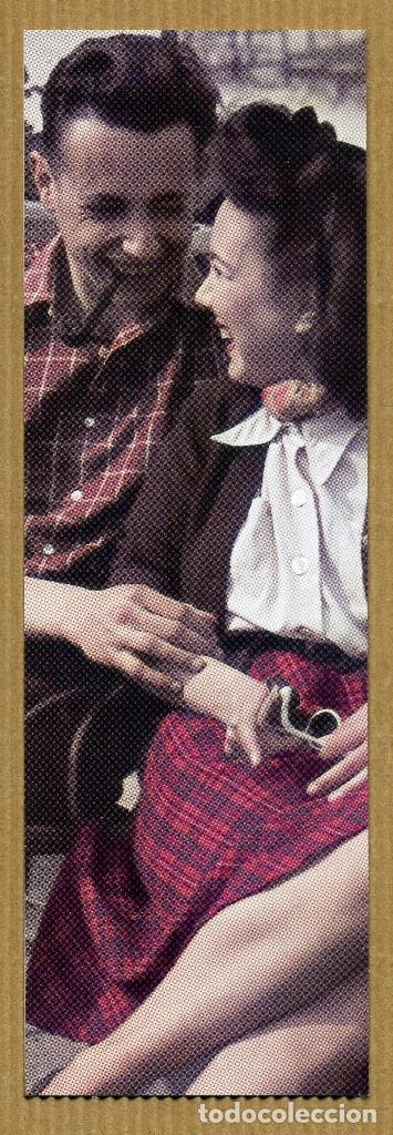 Collectables Bookmark: MARCAPAGINAS SALAMANDRA N&ordm; 224