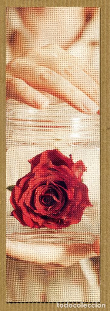 Collectables Bookmark: MARCAPAGINAS SALAMANDRA N&ordm; 241