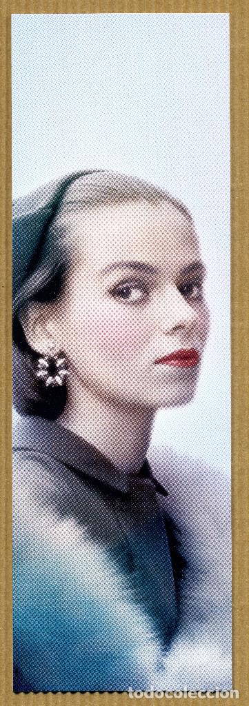 Collectables Bookmark: MARCAPAGINAS SALAMANDRA N&ordm; 344