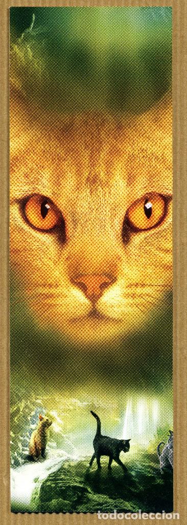 Coleccionismo Marcap&aacute;ginas: MARCAPAGINAS SALAMANDRA N&ordm; 326