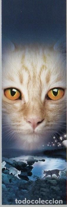 Coleccionismo Marcap&aacute;ginas: MARCAPAGINAS, LUZ ESTELAR LA NUEVA PROFECIA IV. ERIN HUNTER. SALAMANDRA 287