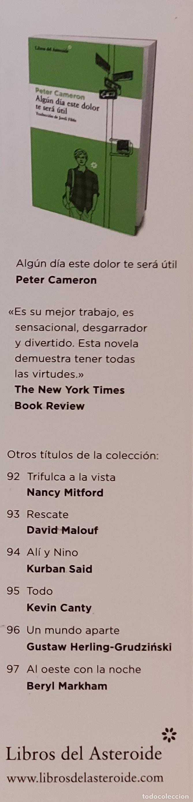 Coleccionismo marcap&aacute;ginas: MARCAP&Aacute;GINAS - LIBROS DEL ASTEROIDE- ALGUN DIA ESTE DOLOR TE SERA UTIL - PETER CAMERON- - Foto 1