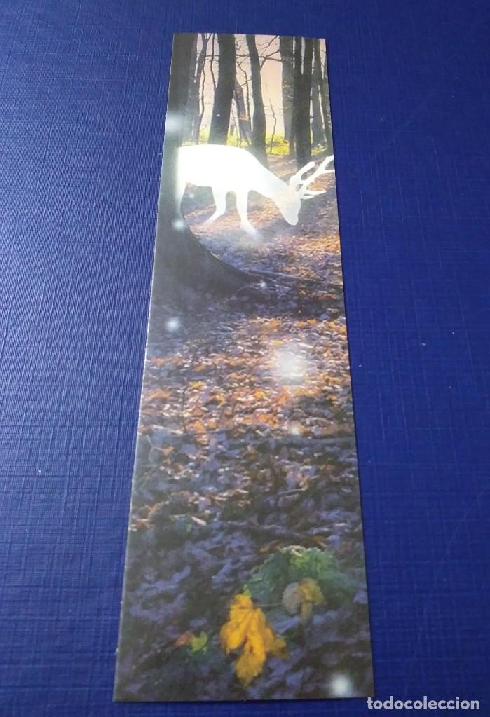Coleccionismo marcap&aacute;ginas: Marcap&aacute;ginas de ciervo en un bosque (2) - NUEVO - Foto 1