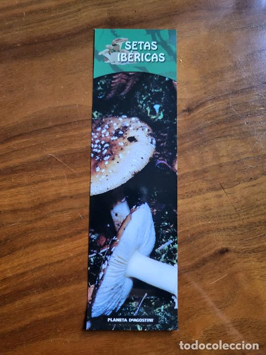 Coleccionismo Marcap&aacute;ginas: MARCAP&Aacute;GINAS PUNTO DE LIBRO SETAS IB&Eacute;RICAS PLANETA DE AGOSTINI