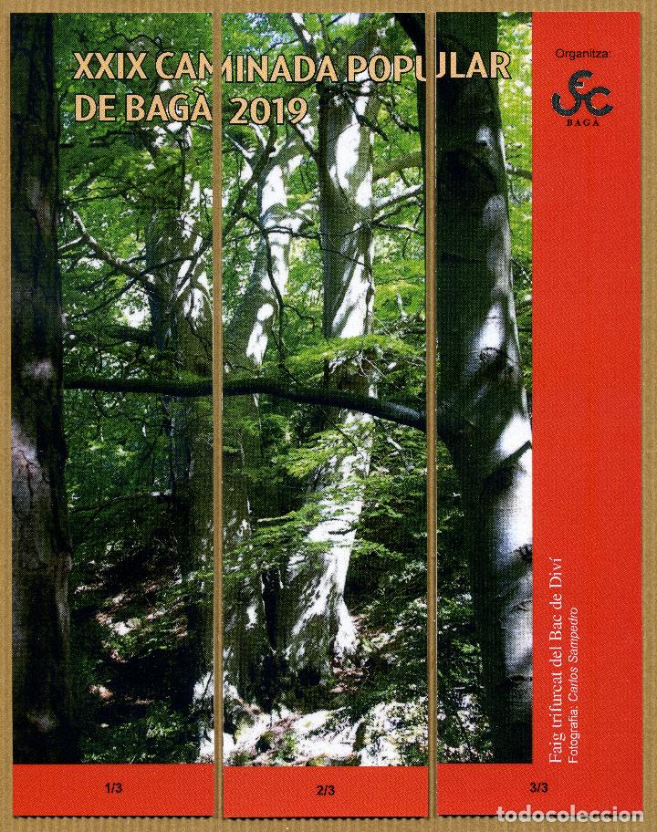 Coleccionismo marcap&aacute;ginas: MARCAPAGINAS PUZZLER BAGA UEC - 2019 - Foto 1