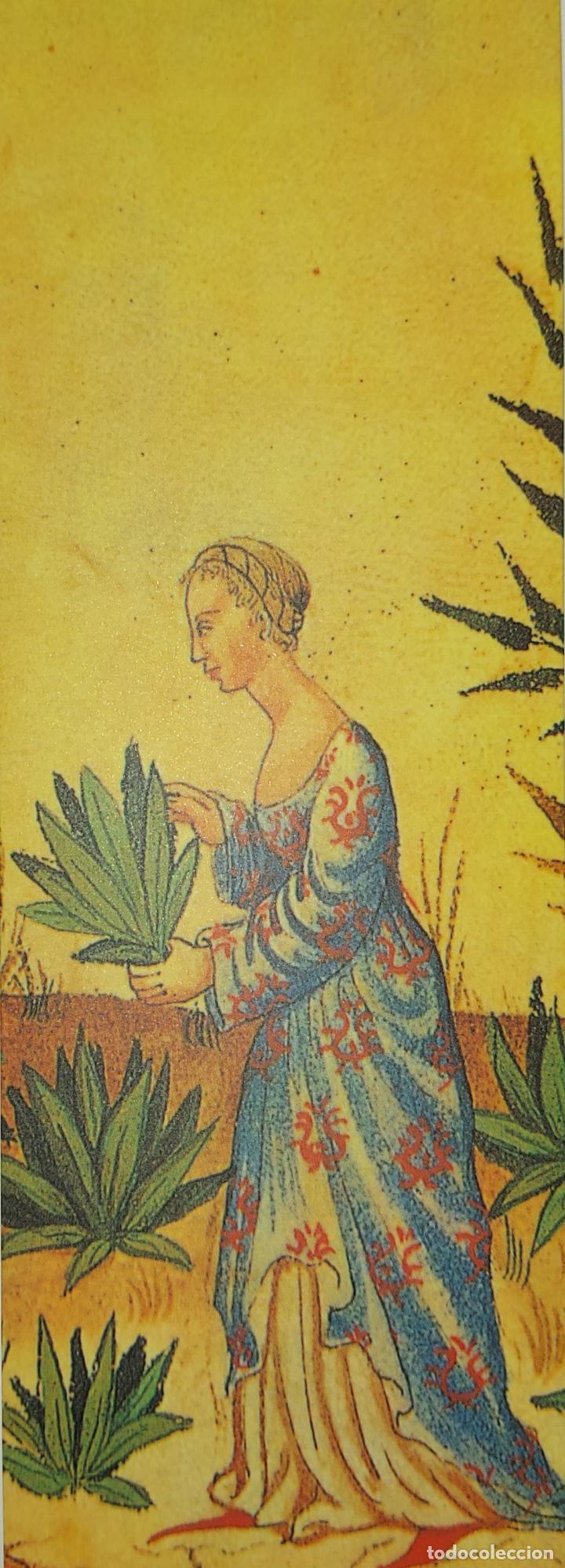 Coleccionismo marcap&aacute;ginas: MARCAP&Aacute;GINAS - OLA&Ntilde;ETA - LOS PEQUE&Ntilde;OS LIBROS DE LA SABIDURIA - - Foto 1