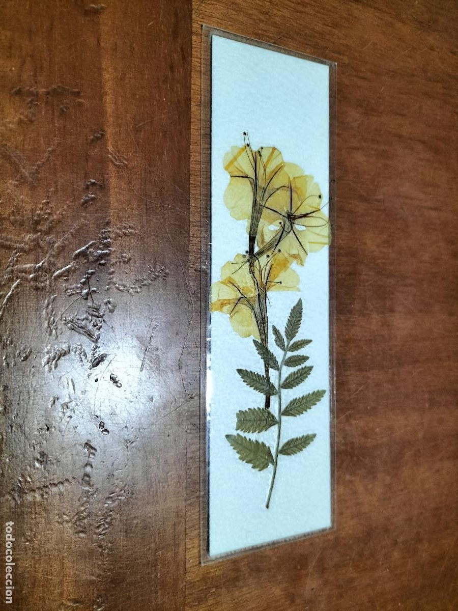 Coleccionismo Marcap&aacute;ginas: PLANTAS. ARTESANAL. FLORES. PLASTIFICADO. MARCAPAGINAS. COMO NUEVA. DIFICIL C-1
