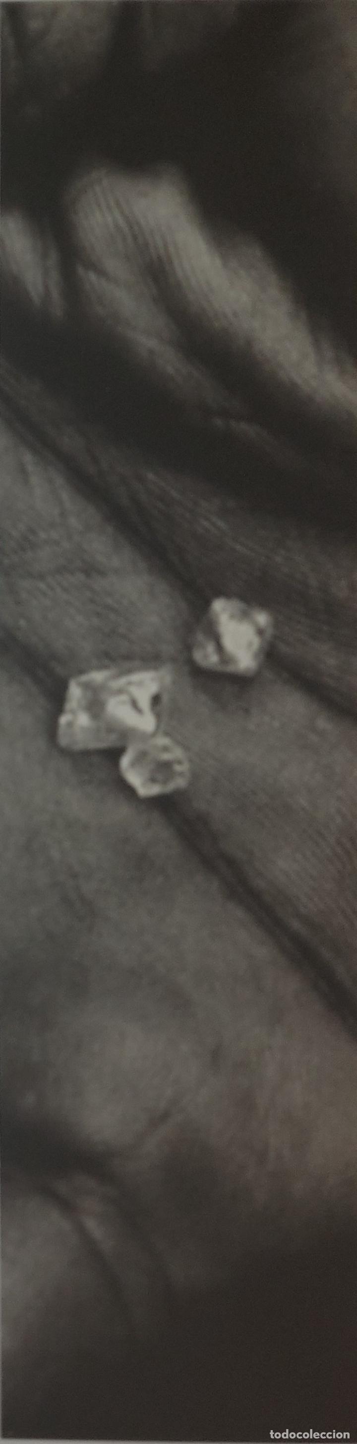 Collectables Bookmark: MARCAPAGINAS - PAID&Oacute;S - DIAMANTES SANGRIENTOS - GREG CAMPBELL