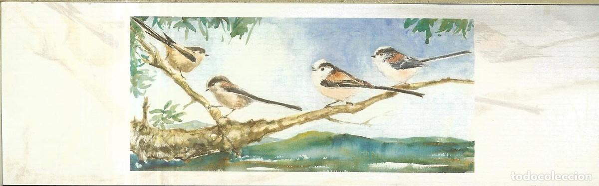 Coleccionismo Marcap&aacute;ginas: MARCAP&Aacute;GINAS - ACUARELA AVES - NAVARREDONDA DE GREDOS - AVILA