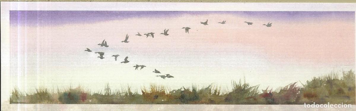 Coleccionismo Marcap&aacute;ginas: MARCAP&Aacute;GINAS - ACUARELA AVES - NAVARREDONDA DE GREDOS - AVILA