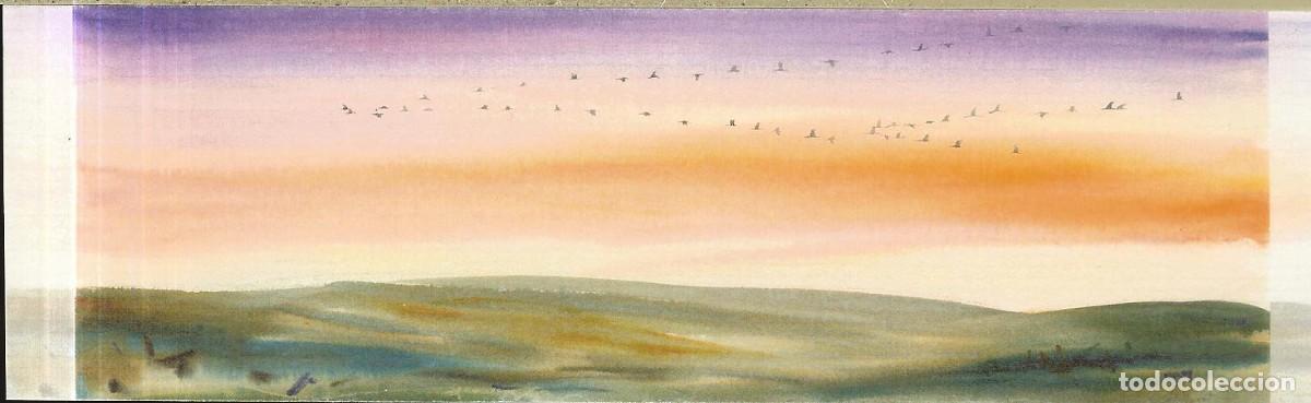 Coleccionismo Marcap&aacute;ginas: MARCAP&Aacute;GINAS - ACUARELA AVES - NAVARREDONDA DE GREDOS - AVILA