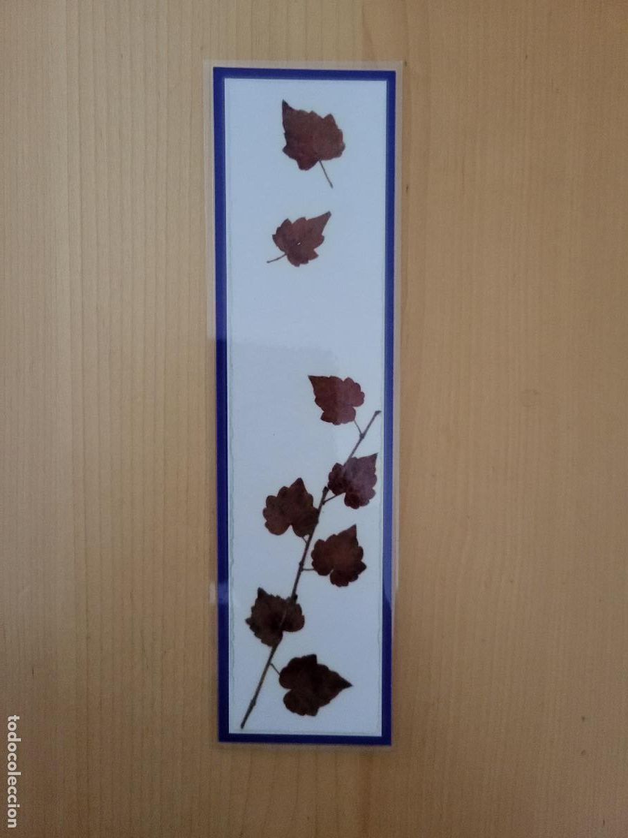 Coleccionismo marcap&aacute;ginas: MARCAP&Aacute;GINAS OTO&Ntilde;O - Foto 1