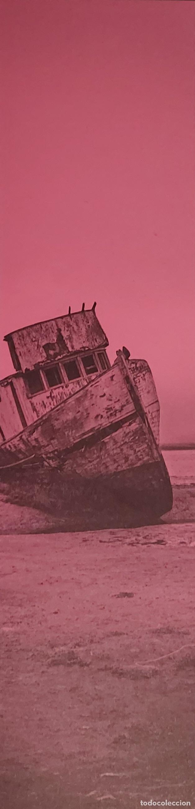 Sammeln von Lesezeichen: MARCAPAGINAS - LIBROS DEL ASTEROIDE - EL A&Ntilde;O DEL DESIERTO - PEDRO MAIRAL - N&ordm; 292