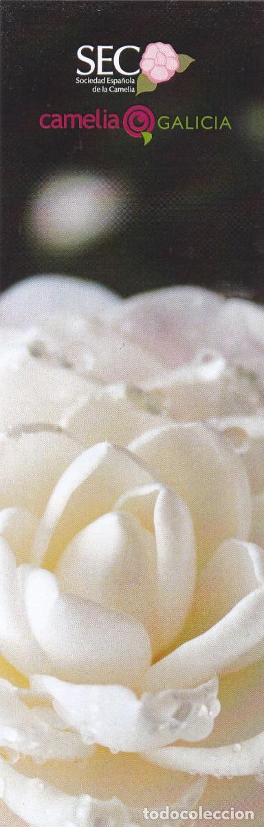 Coleccionismo Marcap&aacute;ginas: MARCAPAGINAS SOCIEDAD ESPA&Ntilde;OLA DE LA CAMELIA. CAMELIA GALICIA - CALENDARIO 2023