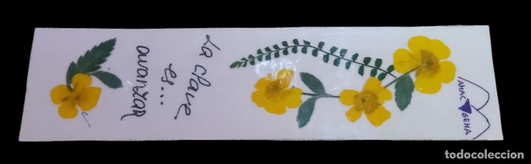 Coleccionismo marcap&aacute;ginas: MARCAP&Aacute;GINAS DE FLORES -;FLORA - LA CLAVE ES AVANZAR. - Foto 1