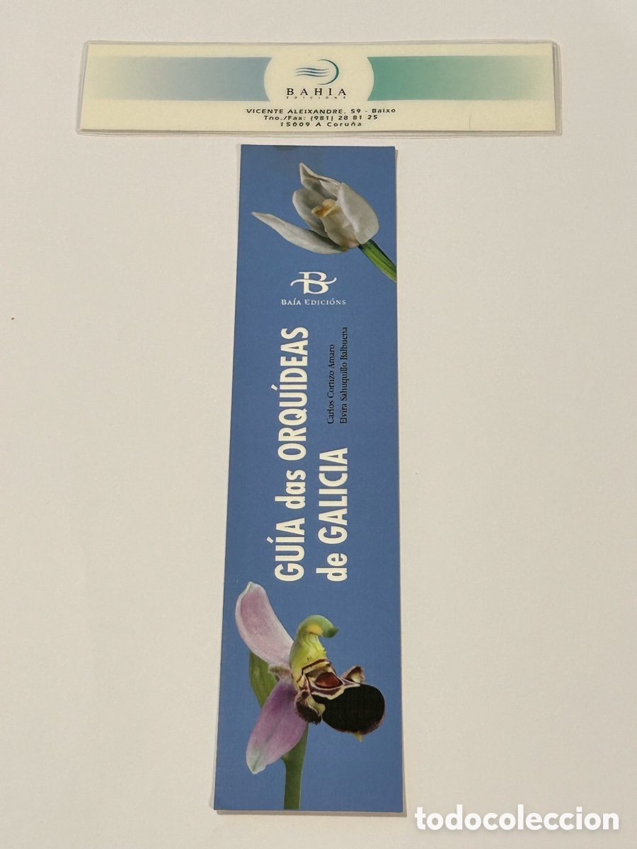 Collectables Bookmark: LOTE 6 MARCAP&Aacute;GINAS/PUNTO DE LIBRO BAH&Iacute;A BA&Iacute;A EDICI&Oacute;NS