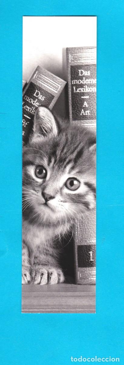 Coleccionismo Marcap&aacute;ginas: Marcapaginas &eacute;ditions du desastre Francia ( gato )