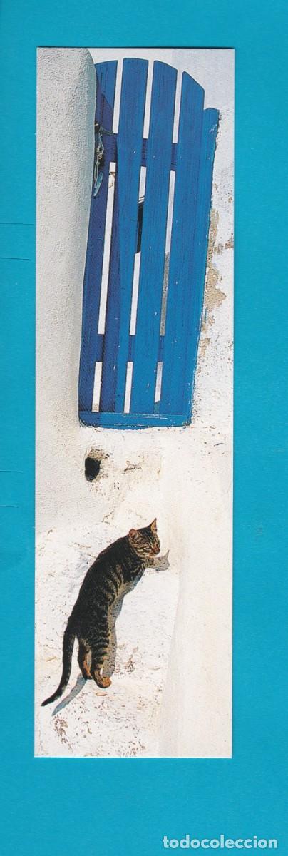 Coleccionismo Marcap&aacute;ginas: Marcapaginas editions Iberiart ( gato )
