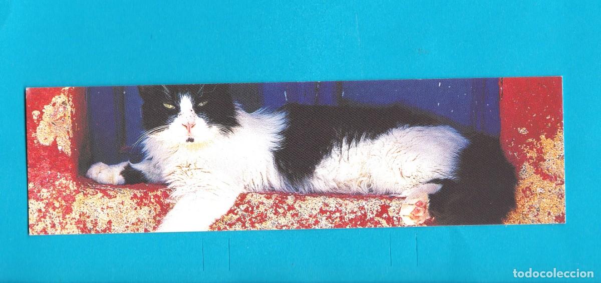 Marcapaginas editions Iberiart ( gato )