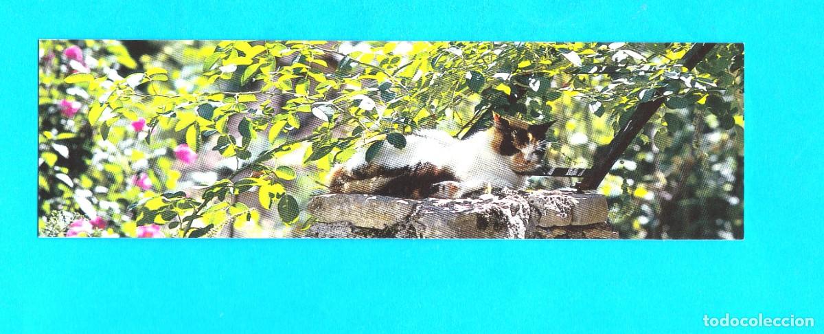 Coleccionismo Marcap&aacute;ginas: Marcapaginas Editions la Goelle ( gato )
