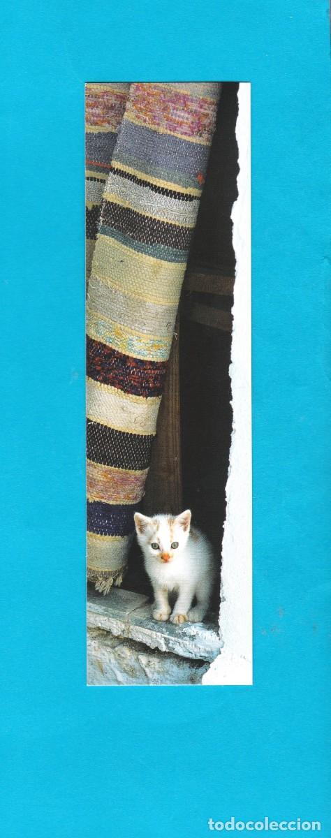 Collectionnisme Marque-pages: Marcapaginas editorial Aquarupella Grecia ( gato )