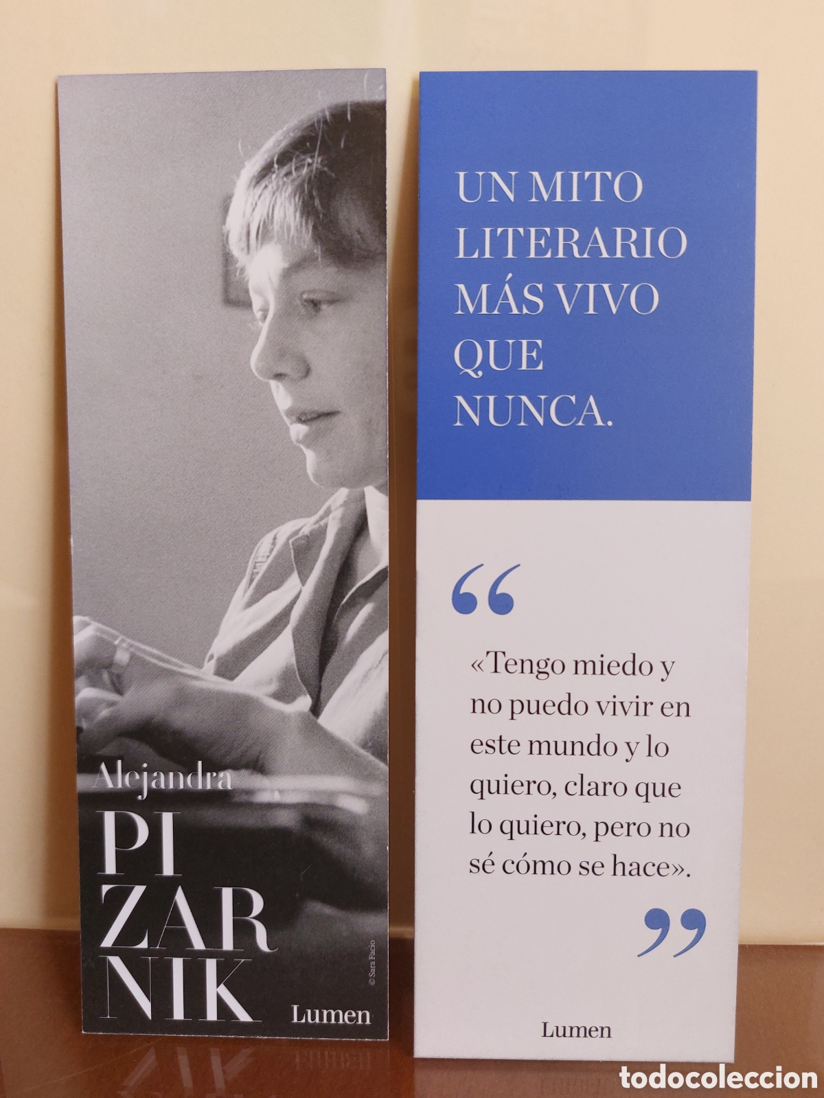 Coleccionismo marcap&aacute;ginas: Marcap&aacute;ginas Pizarnik - Foto 1