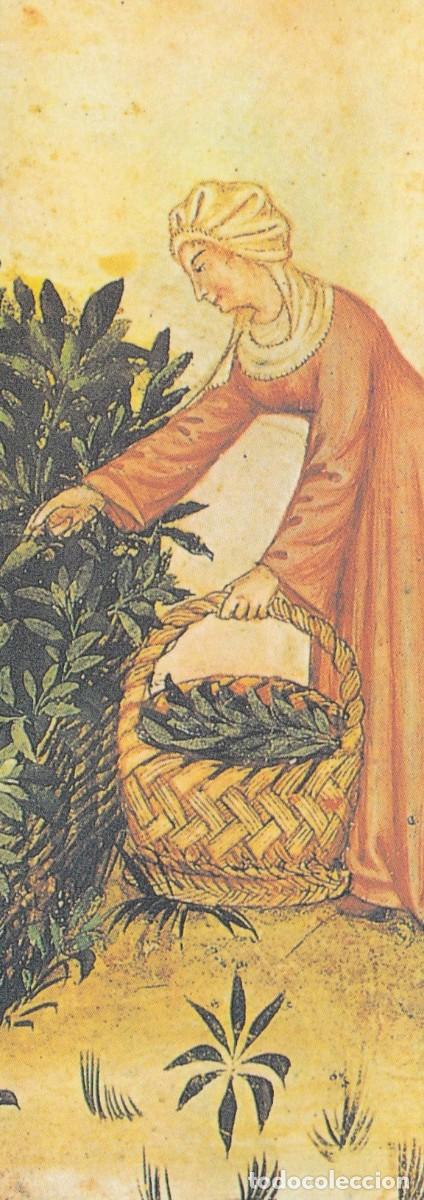 Collectables Bookmark: Marpaginas editorial Ola&ntilde;eta