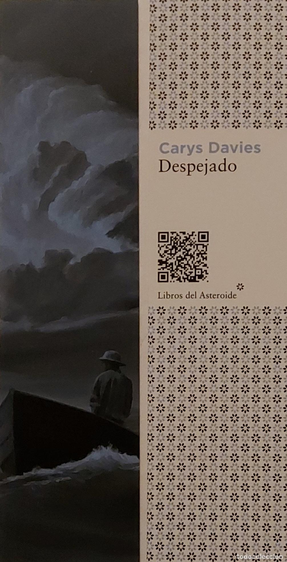 Sammeln von Lesezeichen: MARCAPAGINAS - LIBROS DEL ASTEROIDE - DESPEJADO - CARYS DAVIS