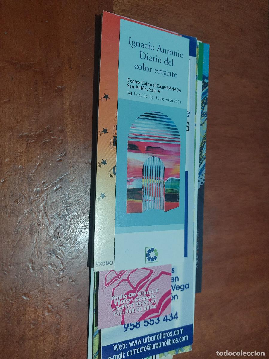 Coleccionismo marcap&aacute;ginas: IGNACIO ANTONIO DIARIO DEL COLOR ERRANTE. MARCAPAGINAS. PUNTO DE LECTURA. BUEN ESTADO. S-4