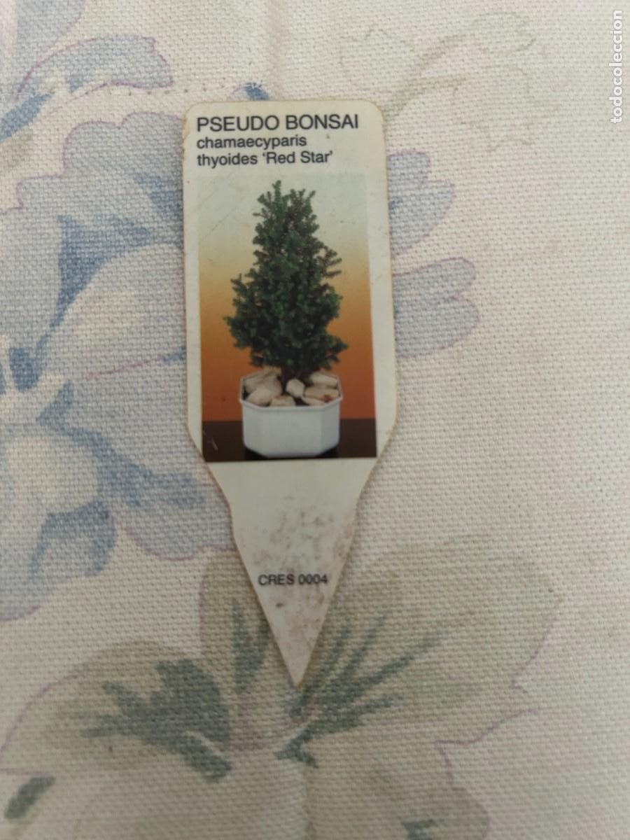 Collectables Bookmark: MARCAPAGINAS PSEUDO BONSAI NUEVO