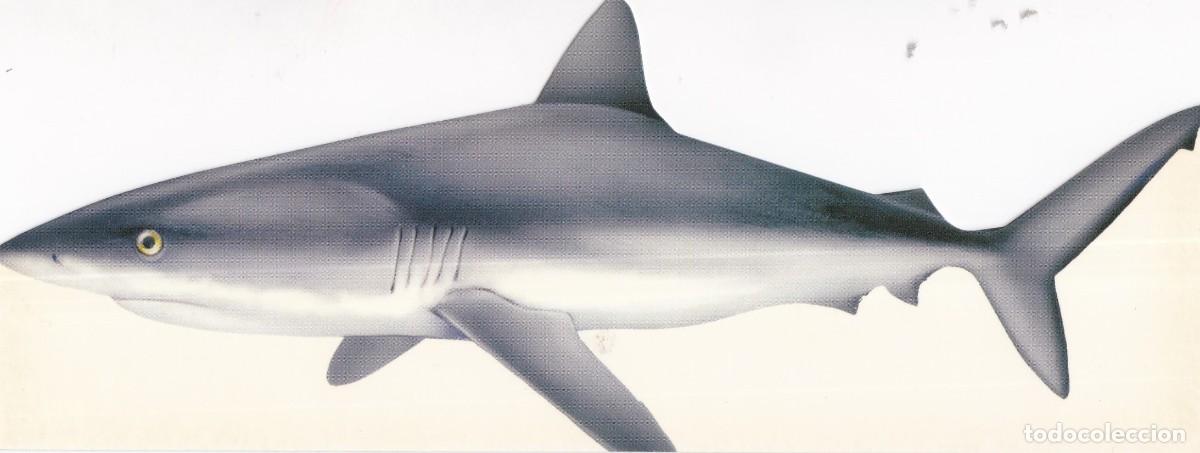 Collectables Bookmark: Marcapaguinas Troquelado Tiburon Gris