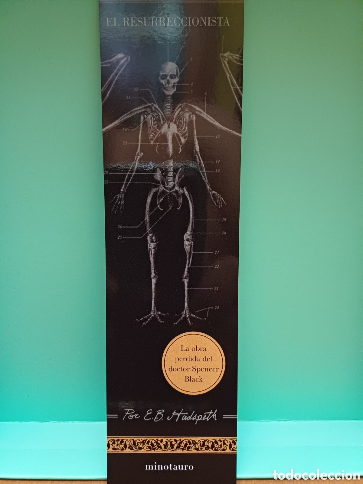 Collectables Bookmark: Marcap&aacute;ginas el resurreccionista