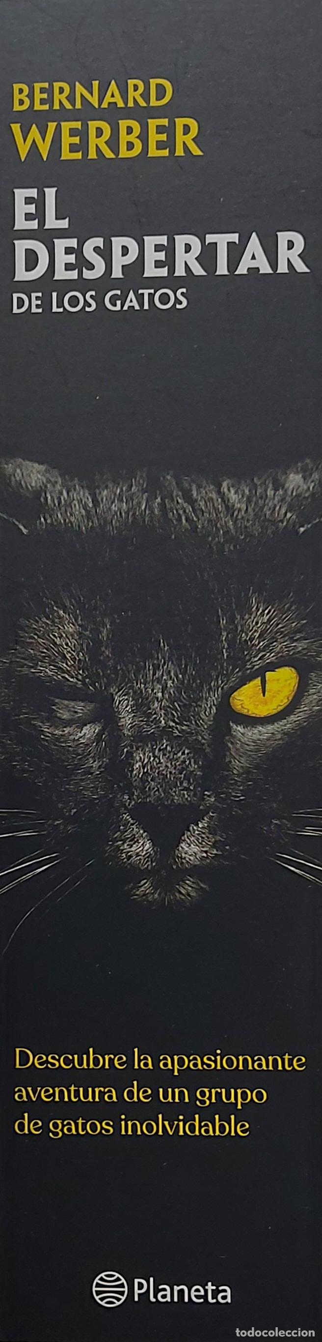 Collectables Bookmark: MARCAPAGINAS - PLANETA - EL DESPERTAR DE LOS GATOS - BERNARD WEBER