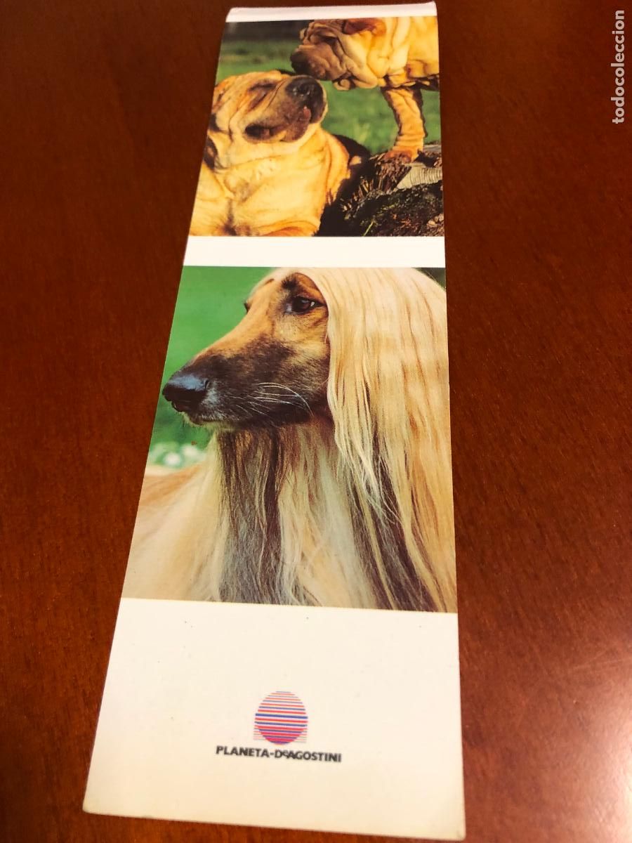 Coleccionismo marcap&aacute;ginas: MARCAPAGINAS PERROS PLANETA DE AGOSTINI - Foto 1