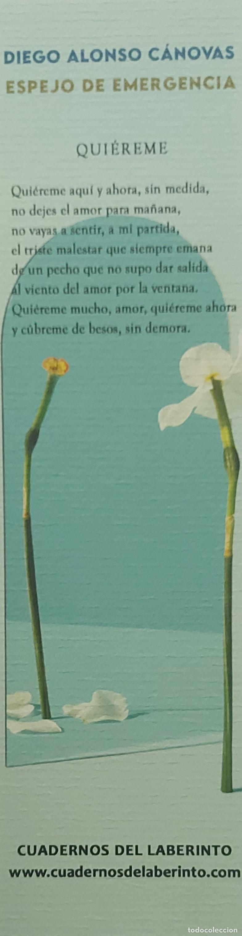 Sammeln von Lesezeichen: MARCAPAGINAS - CUADERNOS DEL LABERINTO - ESPEJO DE EMERGENCIA - DIEGO ALONSO CANOVAS