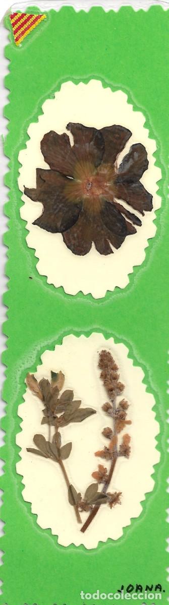 Coleccionismo Marcap&aacute;ginas: punto de libro con bouquet de flores secas