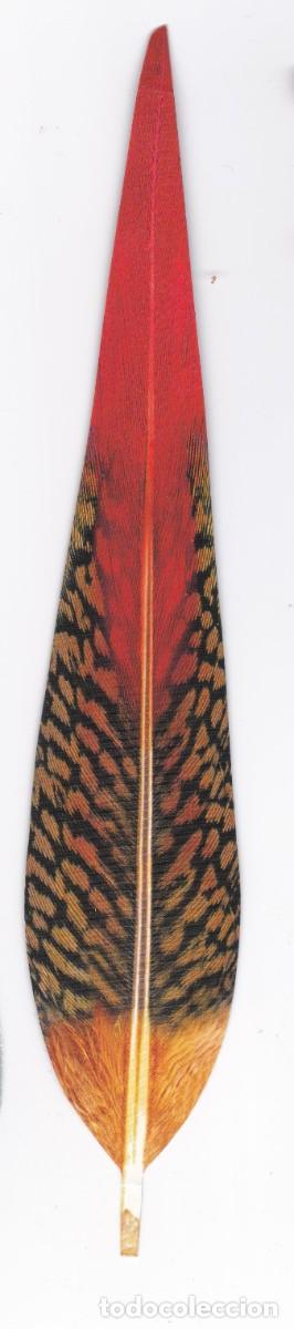 Coleccionismo Marcap&aacute;ginas: Marcapaginas troquelado hoja