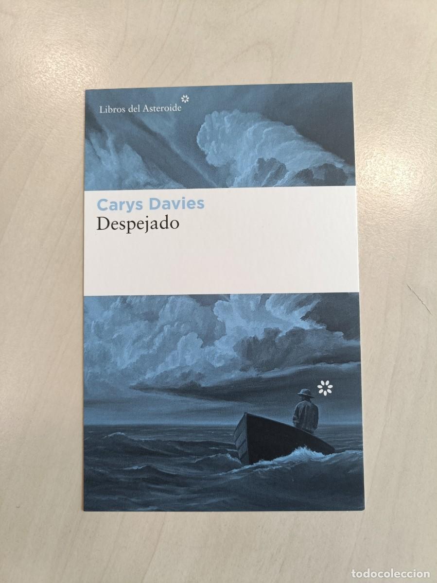 Coleccionismo Marcap&aacute;ginas: MARCAP&Aacute;GINAS TAMA&Ntilde;O POSTAL - LIBROS DEL ASTEROIDE - DESPEJADO - CARYS DAVIES