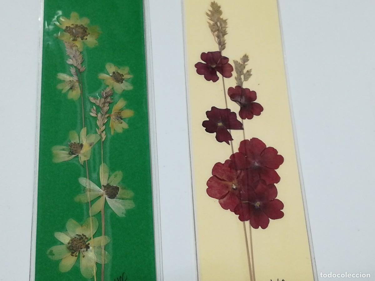 Coleccionismo marcap&aacute;ginas: DOS MARCAP&Aacute;GINAS DE FLORES PLASTIFICADAS. - Foto 3