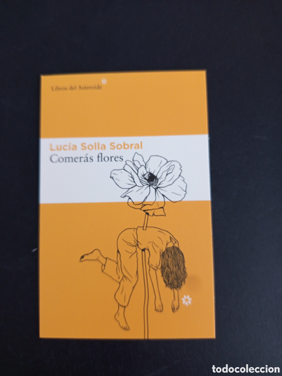 Coleccionismo Marcap&aacute;ginas: Marcap&aacute;ginas: COMER&Aacute;S FLORES (Luc&iacute;a Solla Sobral).Pedido m&iacute;nimo 3 &euro;. Ver fotos .