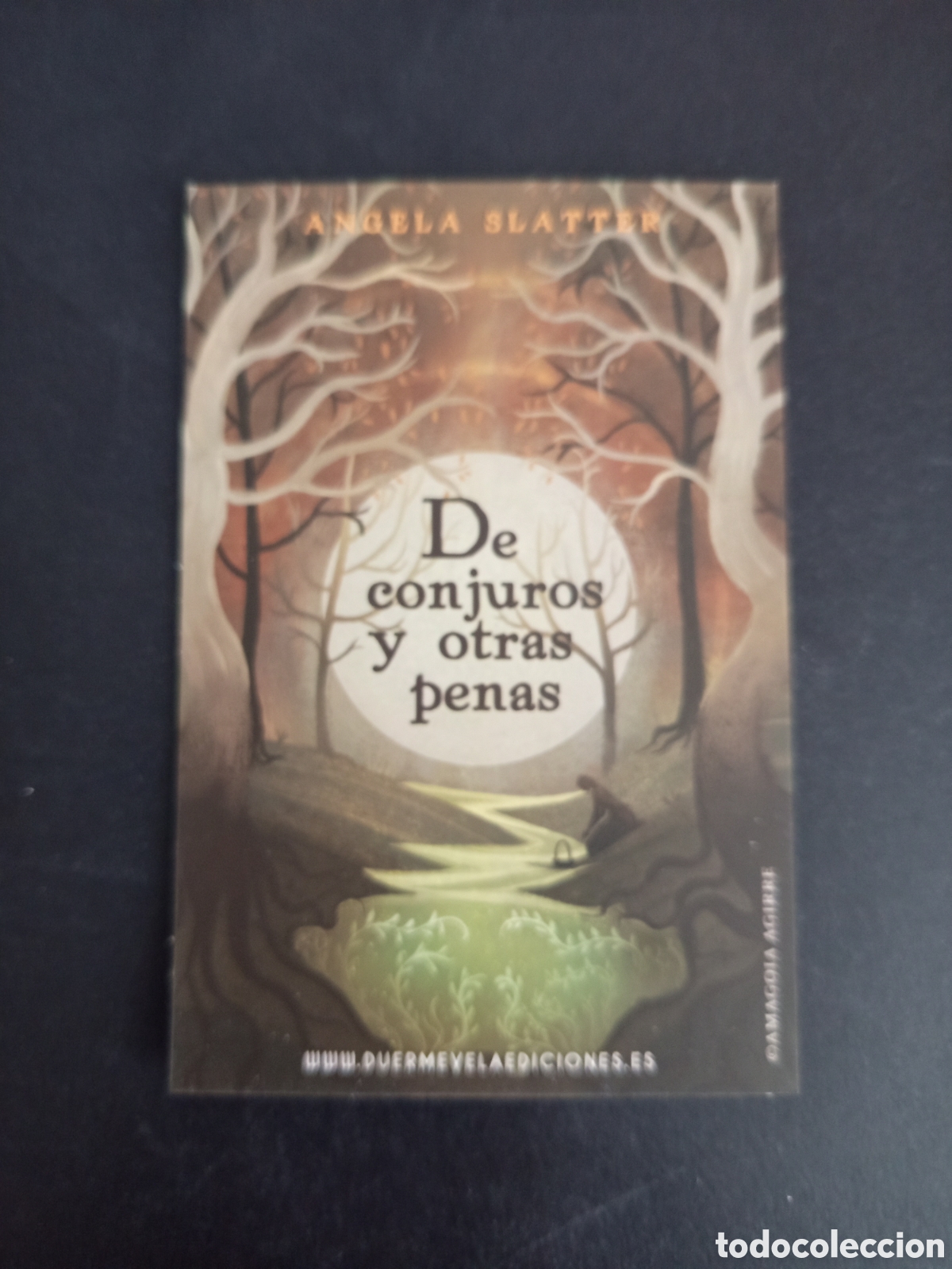 Coleccionismo Marcap&aacute;ginas: Marcap&aacute;ginas: DE CONJUROS Y OTRAS PENAS (&Aacute;ngela Slatter). Pedido m&iacute;nimo 3 &euro;. Ver fotos .