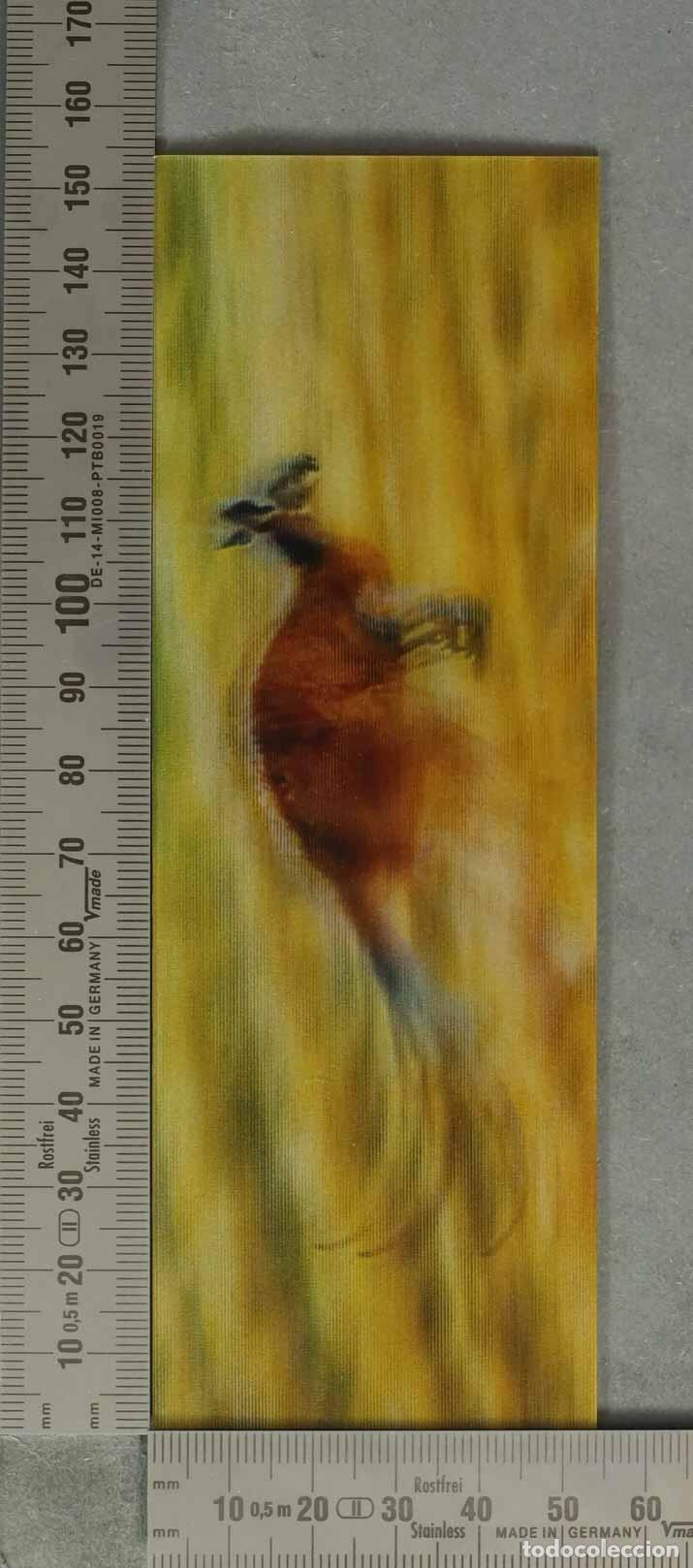 Coleccionismo Marcap&aacute;ginas: MARCAPAGINAS. Kangaroo hopping across plain 3D