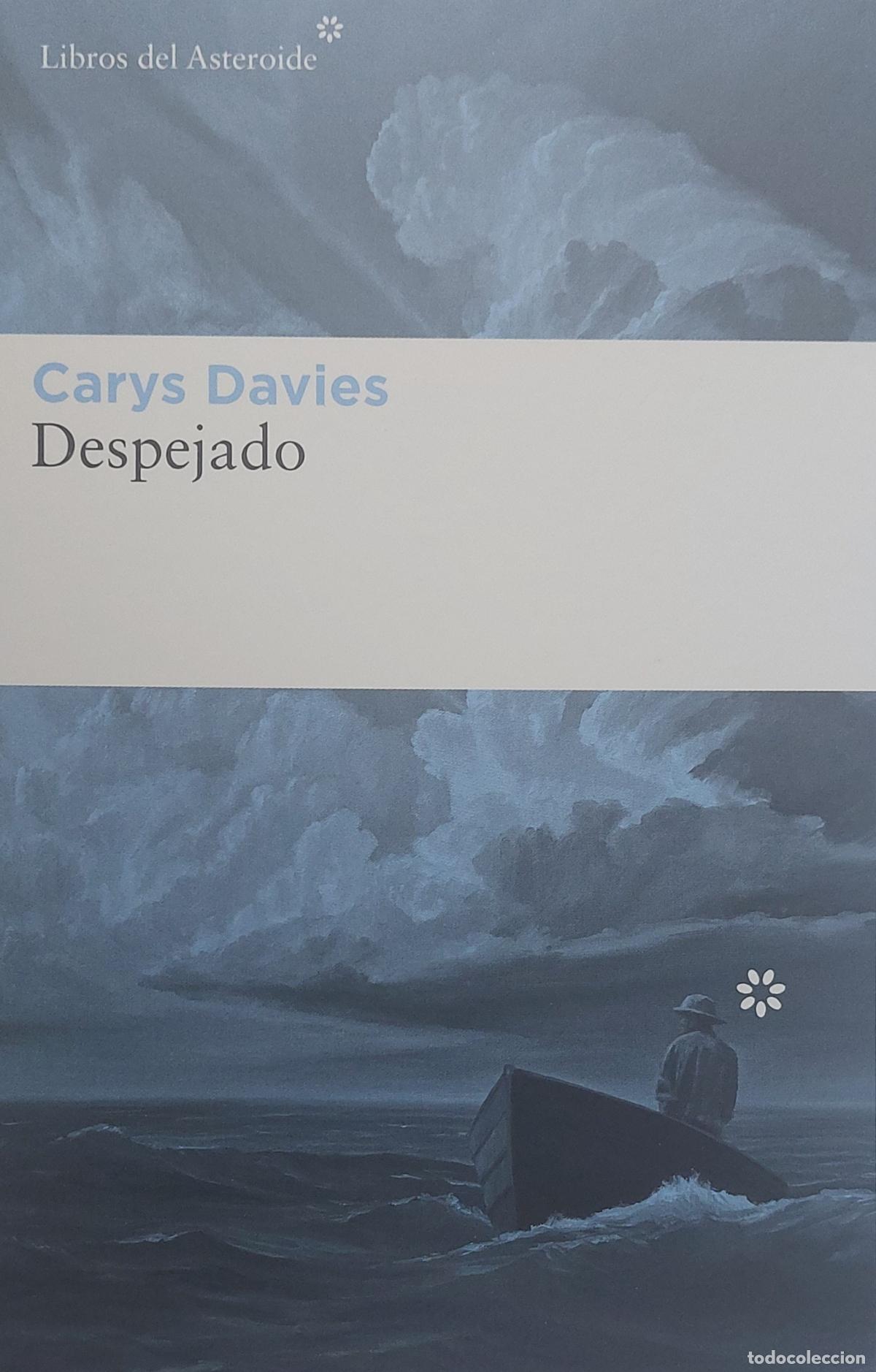 Sammeln von Lesezeichen: MARCAPAGINAS - LIBROS DEL ASTEROIDE - CARYS DAVIES - DESPEJADO - T POSTAL
