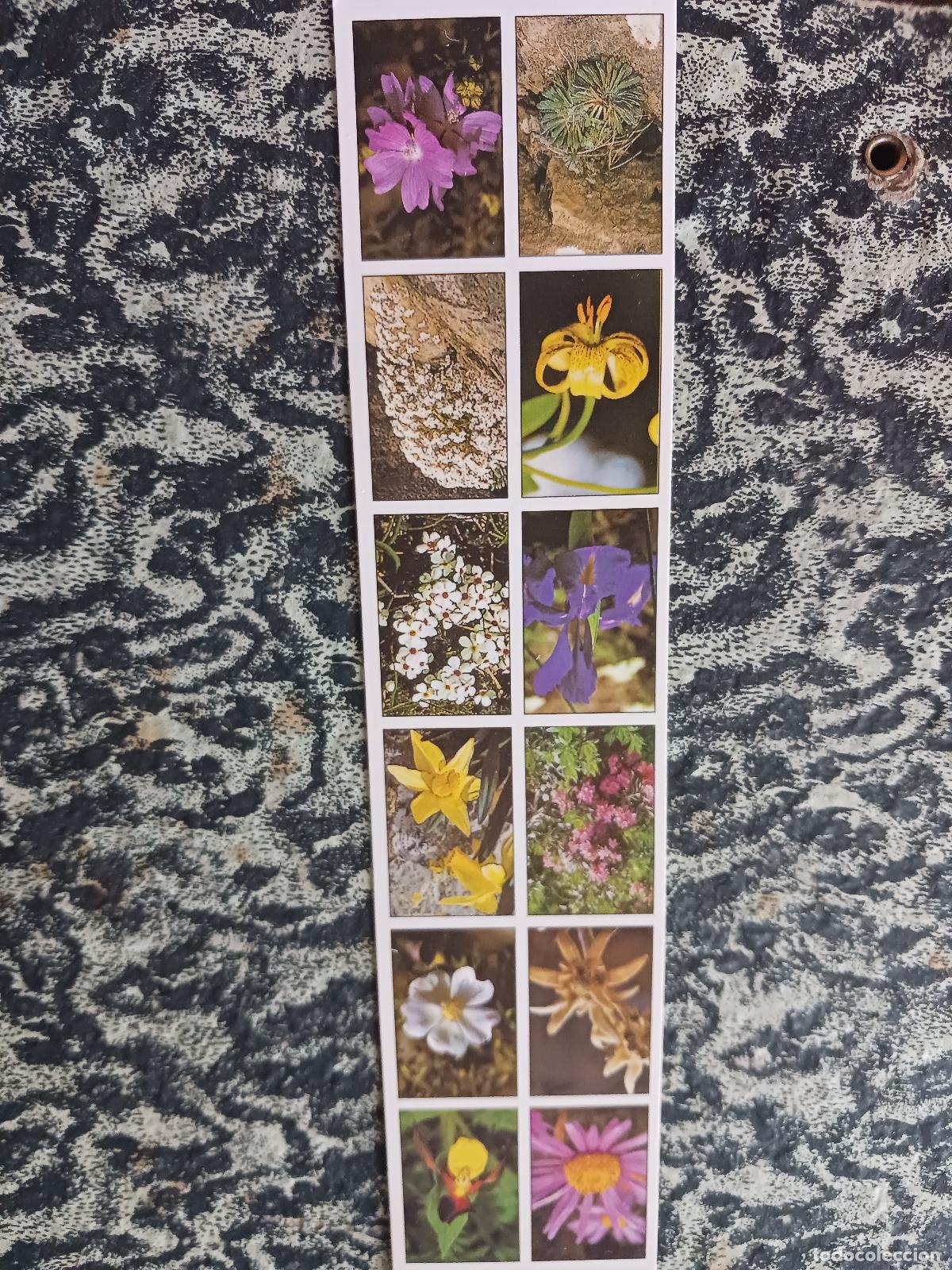 Coleccionismo marcap&aacute;ginas: pirineos, flores caracteristicas
