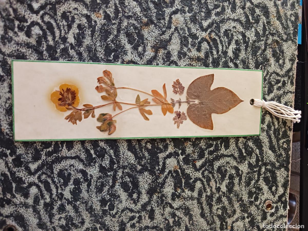 Coleccionismo marcap&aacute;ginas: punto de lectura flores secas, plastificado