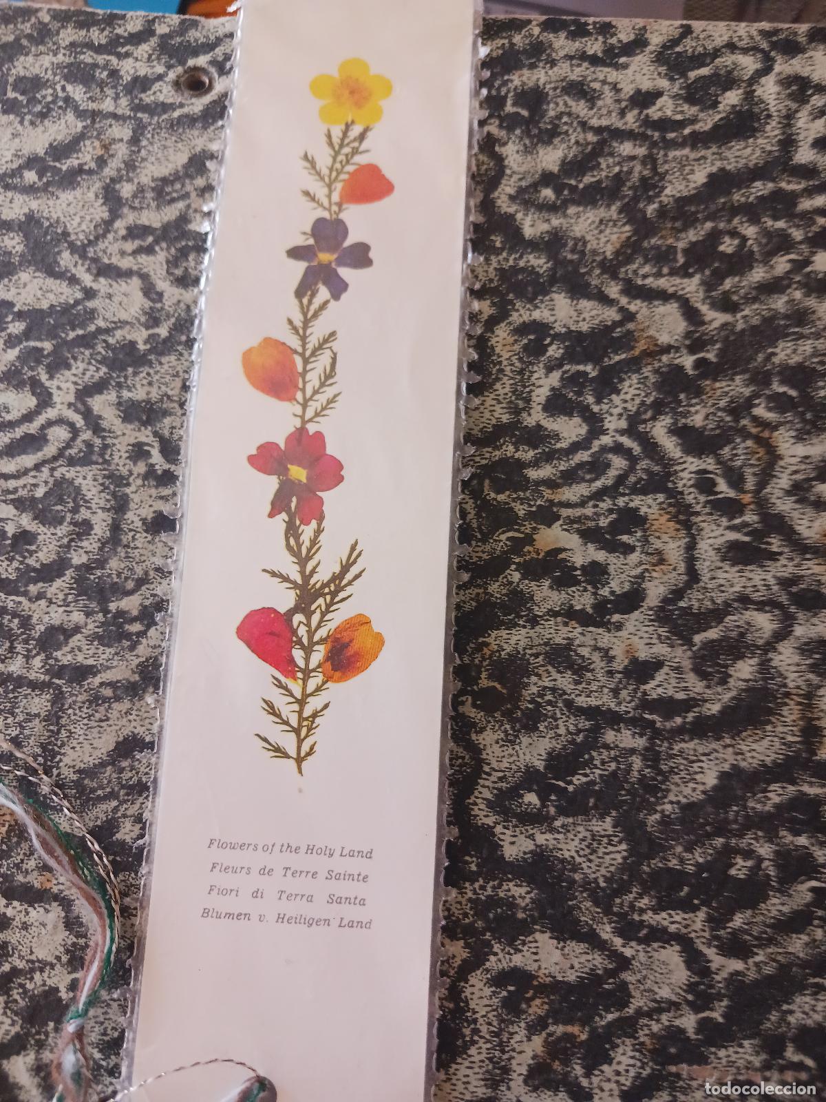 Coleccionismo marcap&aacute;ginas: flores de tierra santa - Foto 2